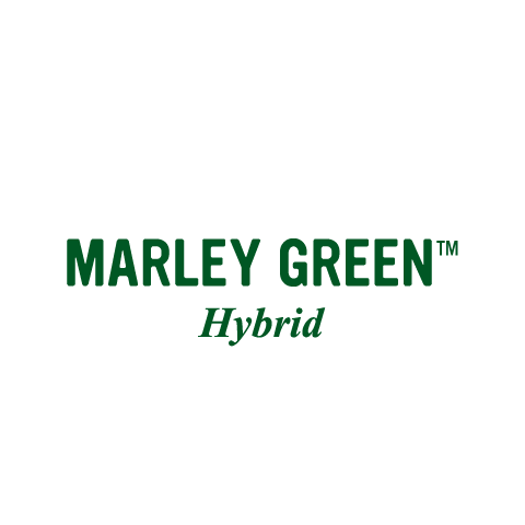 MARLEY GREEN